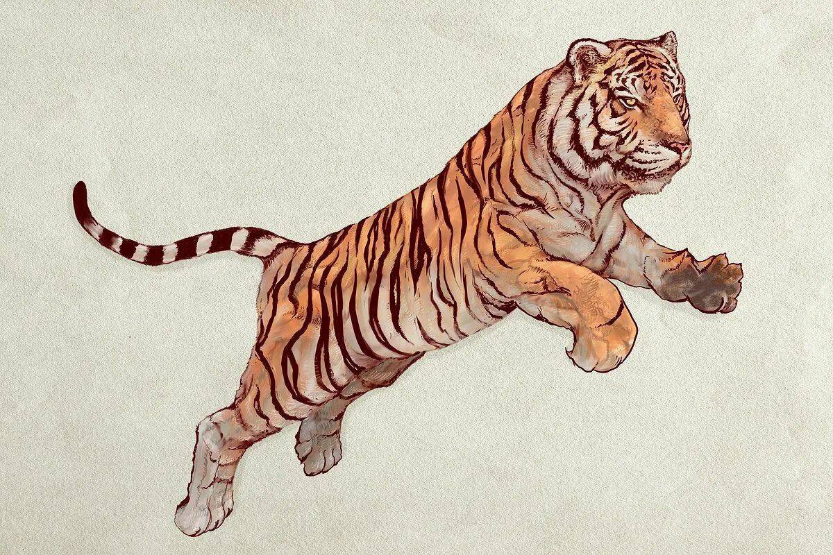 Тигр рисунок #16