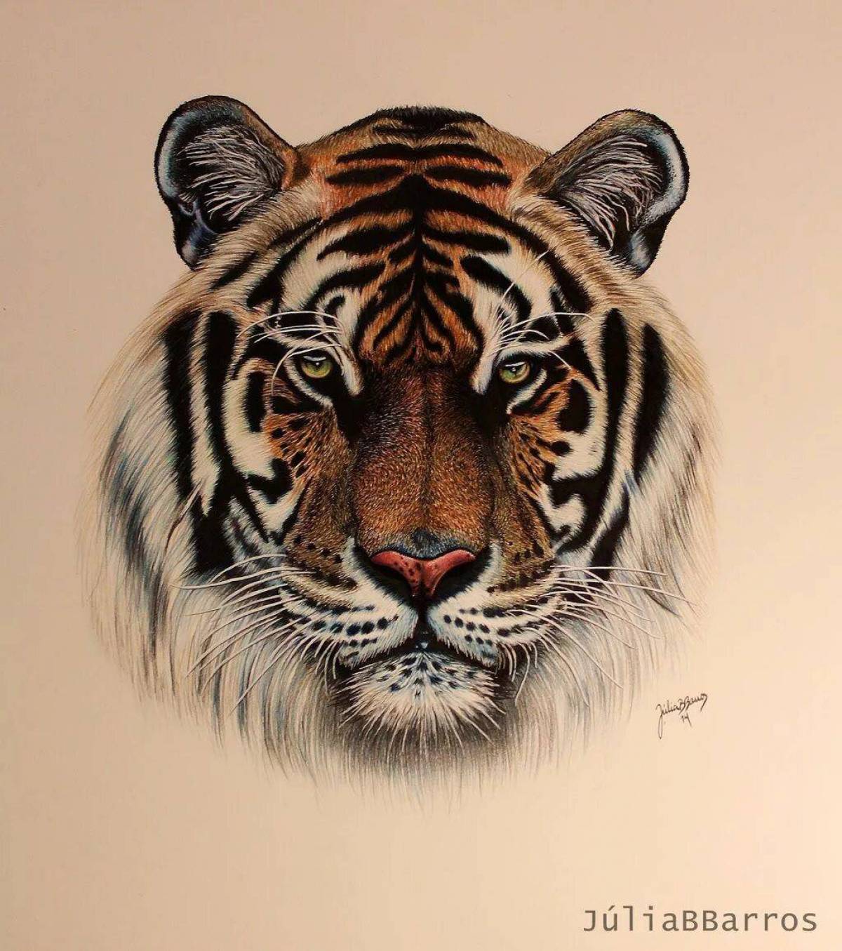 Тигр рисунок #19
