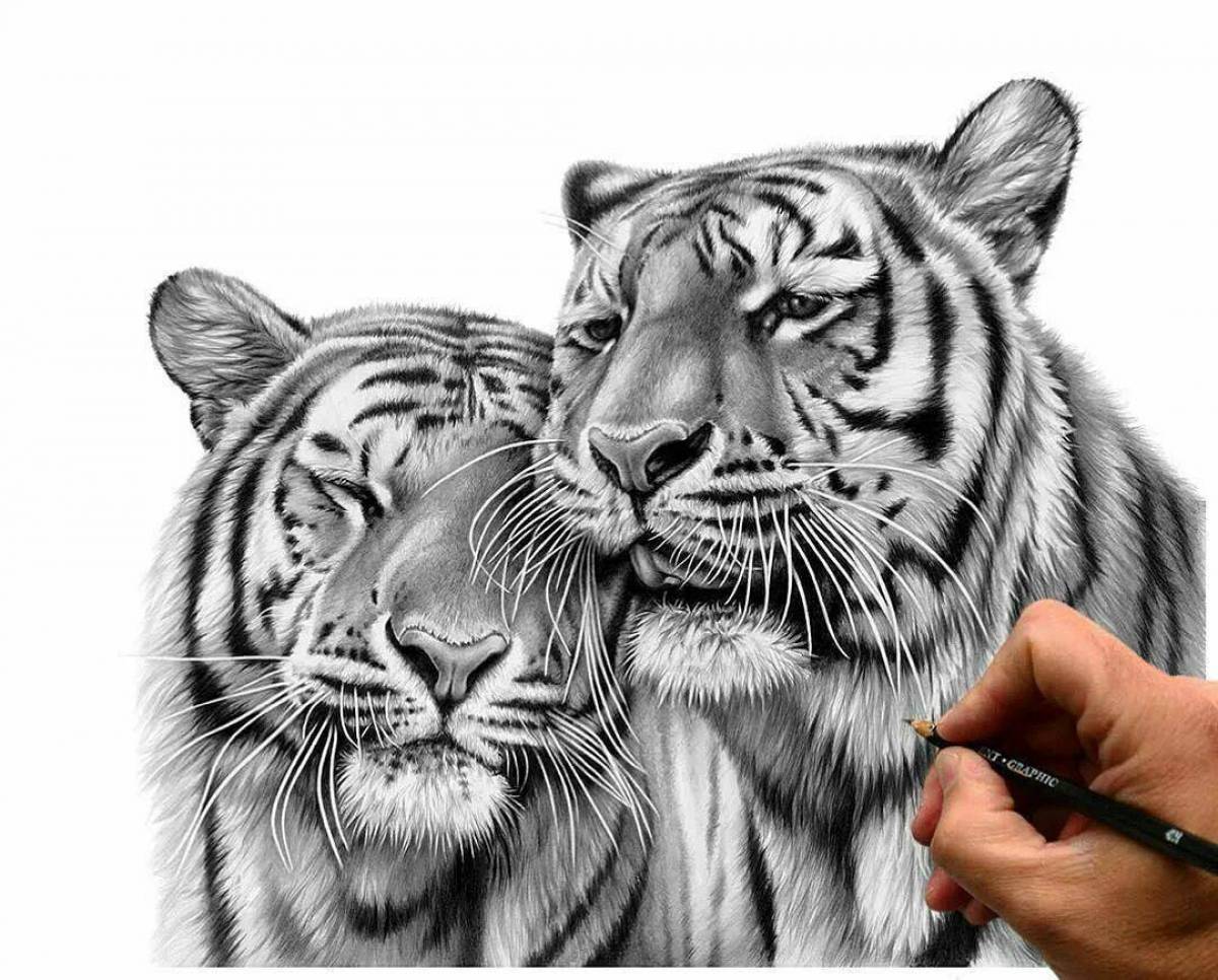 Тигр рисунок #22