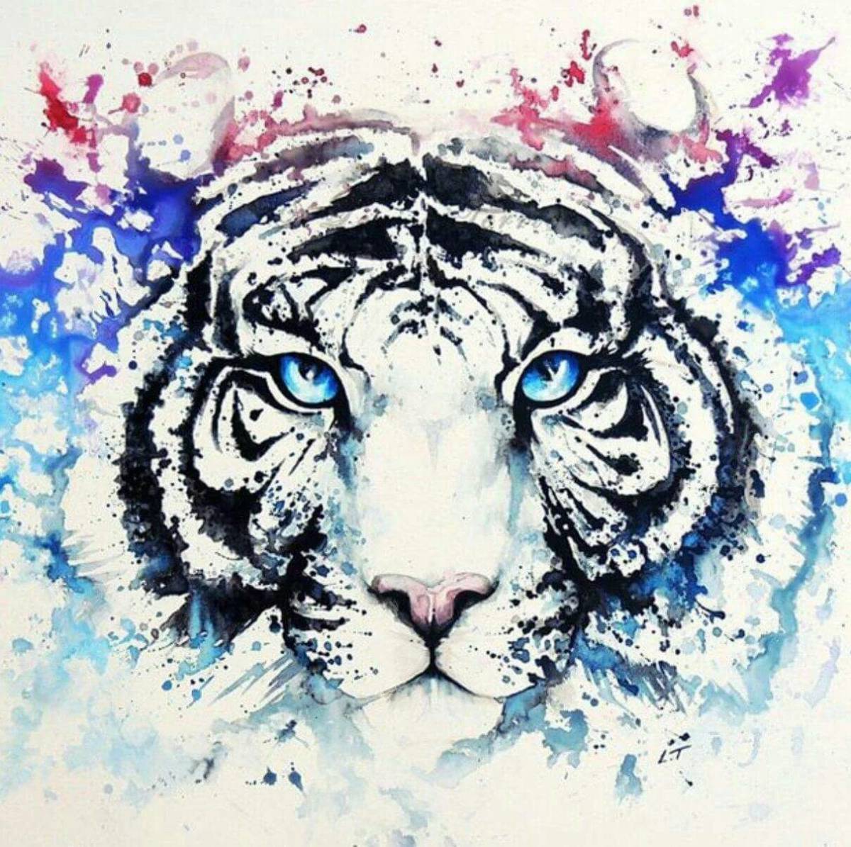 Тигр рисунок #25