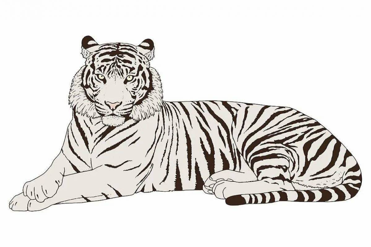 Тигр рисунок #30