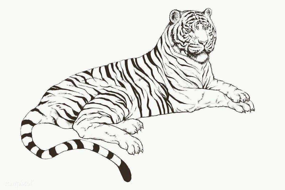 Тигр рисунок #31