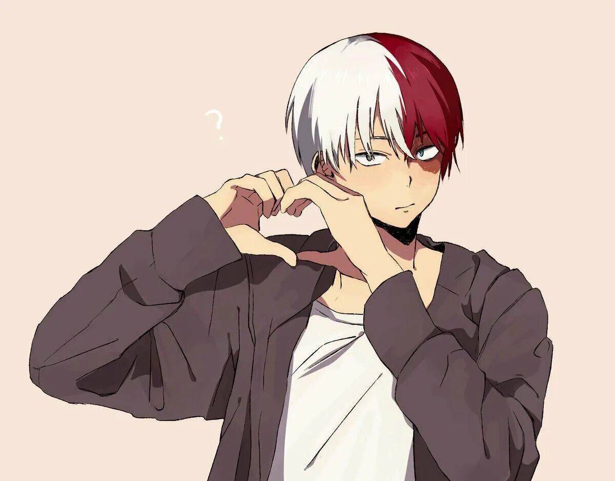 Todoroki reader. Тодороки шото. Тодороки шото аниме. Сёто Тодороки. Тодороки шото милый.