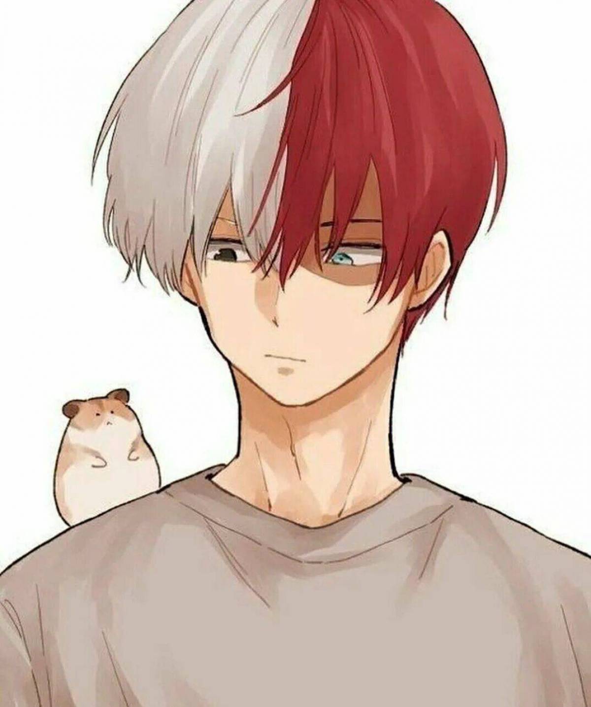 Todoroki reader. Тодороки шото. Сёто Тодороки. Тодороки шото аниме. Тодороки Шота аниме.