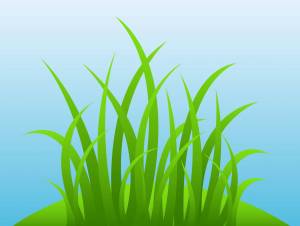 Раскраска трава для детей #4 #527400