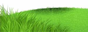 Раскраска трава для детей #6 #527402