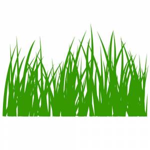 Раскраска трава для детей #10 #527406