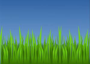 Раскраска трава для детей #21 #527417