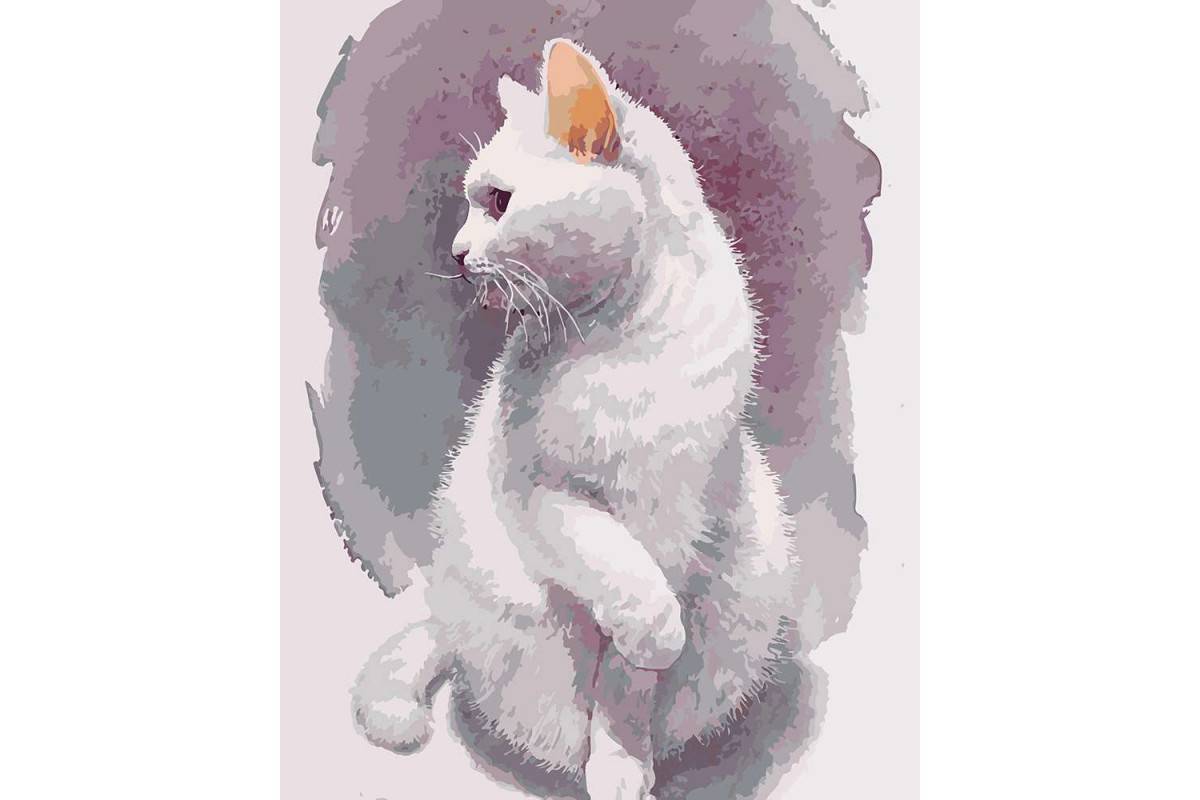 Толстый котик картина по номерам на холсте z na57 40х40 #8