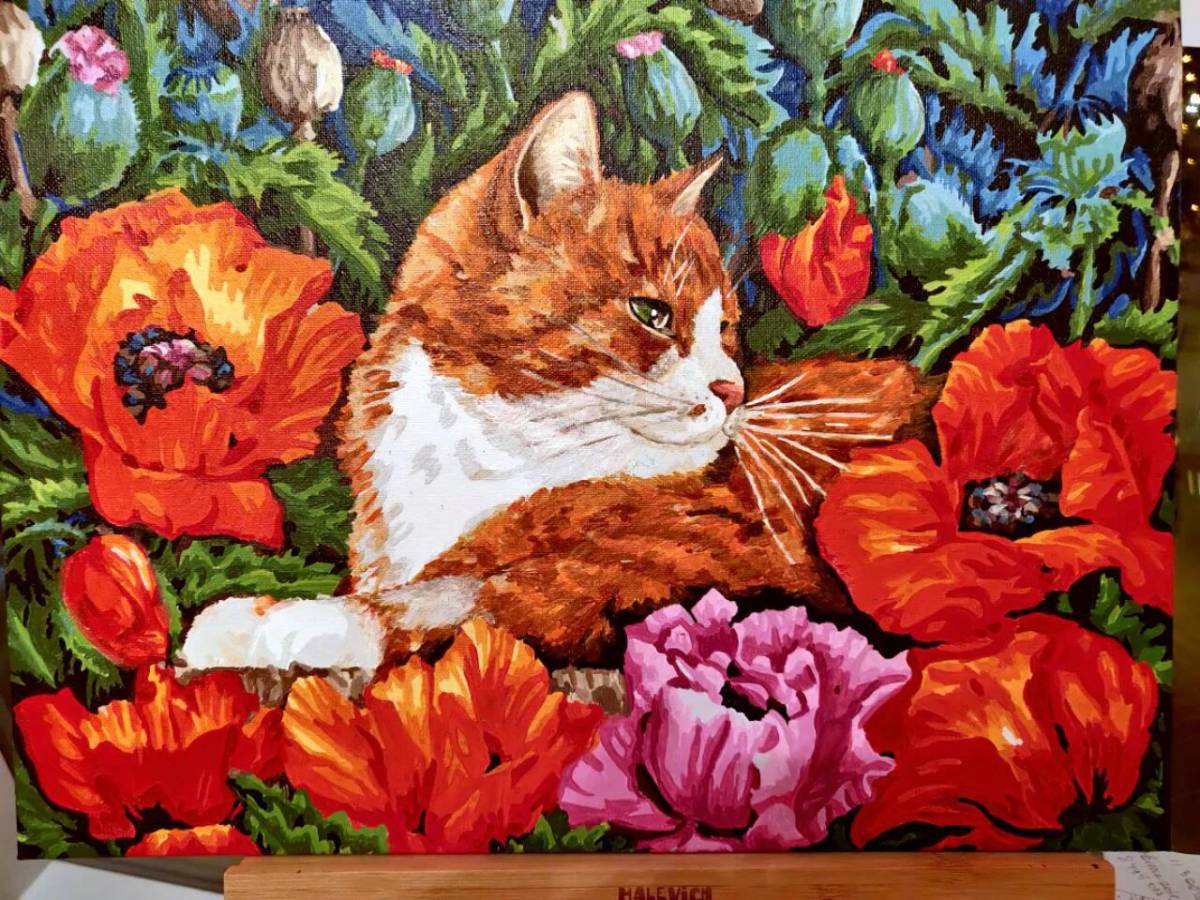 Толстый котик картина по номерам на холсте z na57 40х40 #10