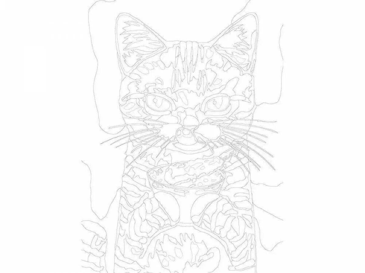 Толстый котик картина по номерам на холсте z na57 40х40 #11