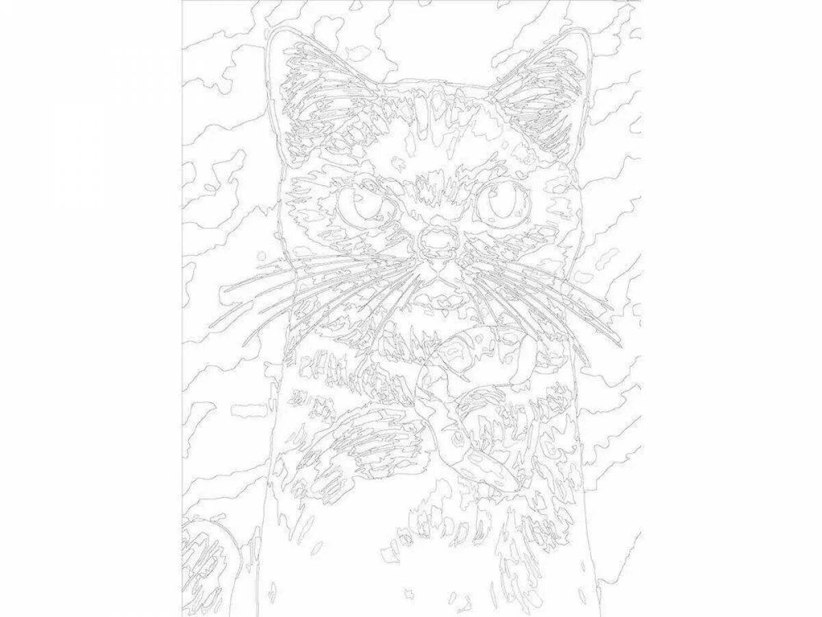 Толстый котик картина по номерам на холсте z na57 40х40 #17