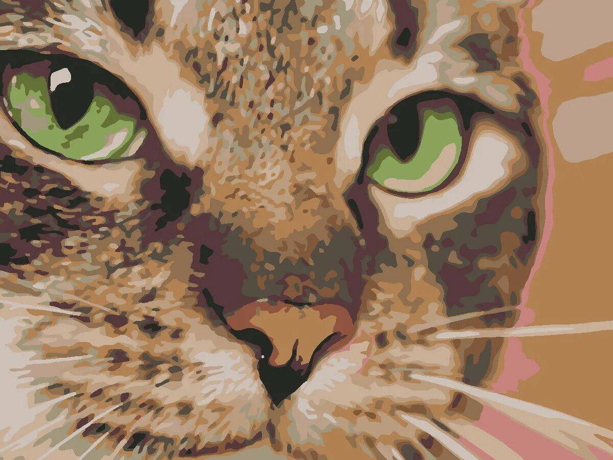 Толстый котик картина по номерам на холсте z na57 40х40 #29