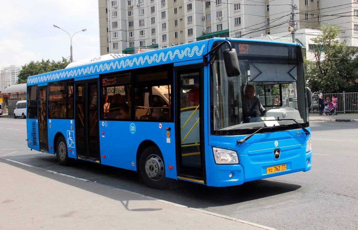 Городской автобусный транспорт