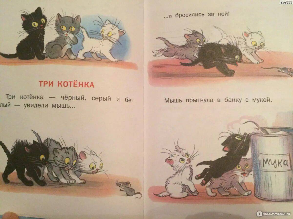 Три котенка слова. Сутеев 3 котенка. Сказки Сутеева три котенка. Книга Сутеев три котенка. Три кота Сутеев.
