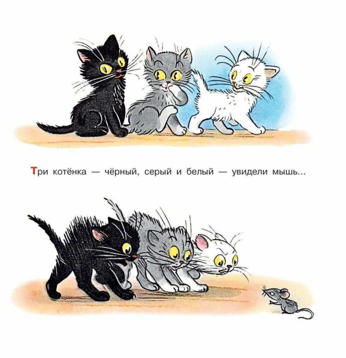 3 кота и черный кот