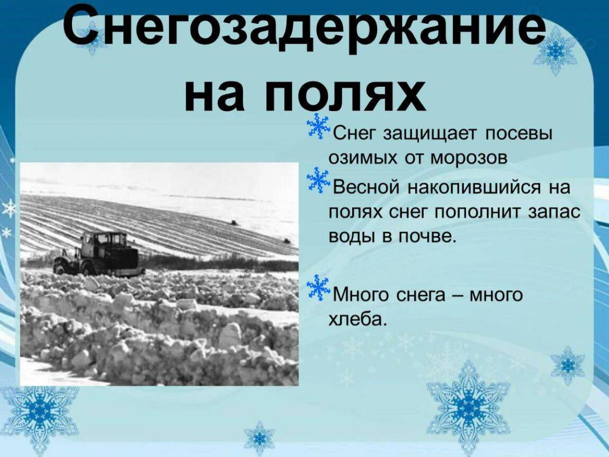 Много снега много хлеба смысл пословицы