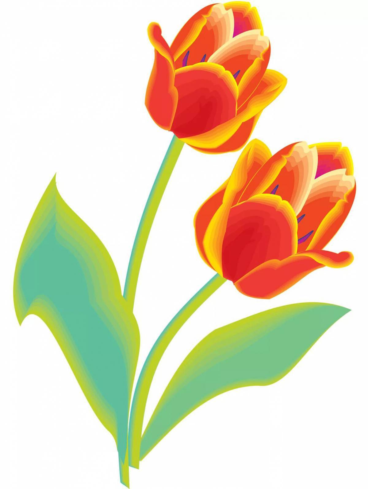 Tulip картинка для детей