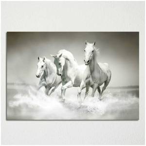 Раскраска три белых коня #3 #528920