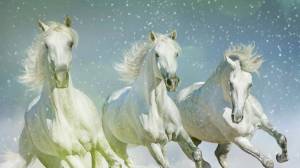 Раскраска три белых коня #5 #528922