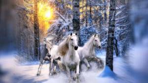 Раскраска три белых коня #8 #528925
