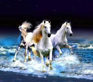 Раскраска три белых коня #13 #528930