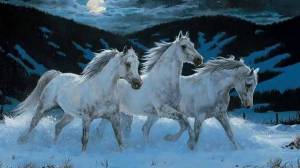 Раскраска три белых коня #35 #528952