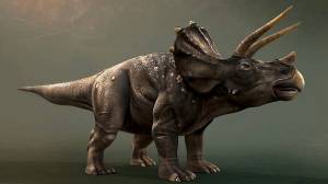 Раскраска трицератопс динозавр #19 #529651
