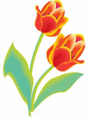 Раскраска тюльпан для детей #4 #531320
