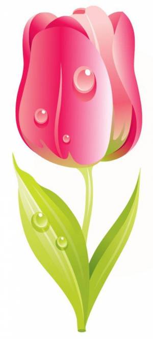 Раскраска тюльпан для детей #6 #531322