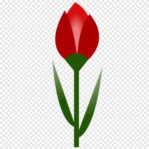 Раскраска тюльпан для детей #24 #531340