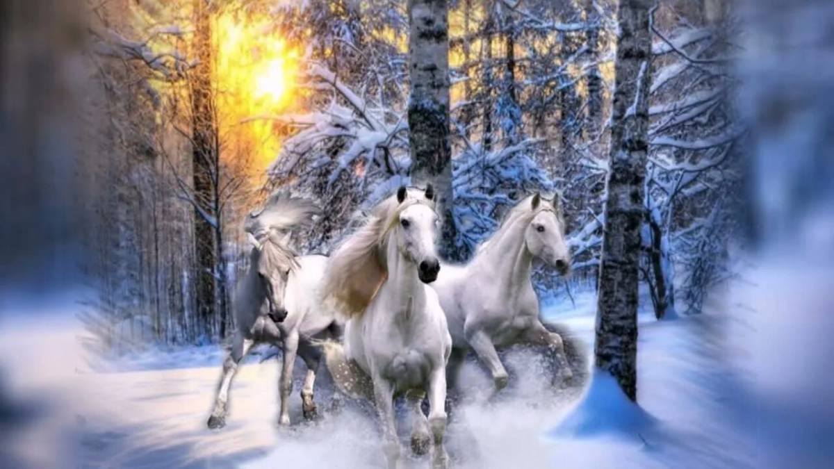 Три белых коня #8