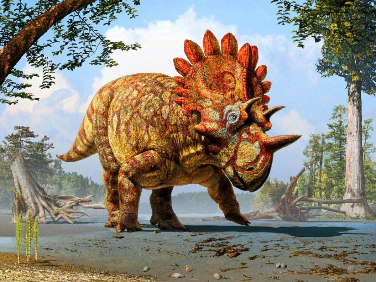 Трицератопс динозавр #5