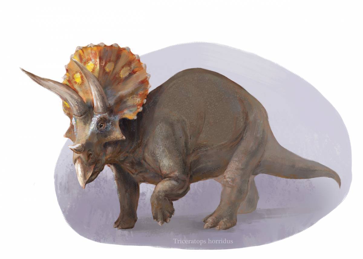 Трицератопс динозавр #26
