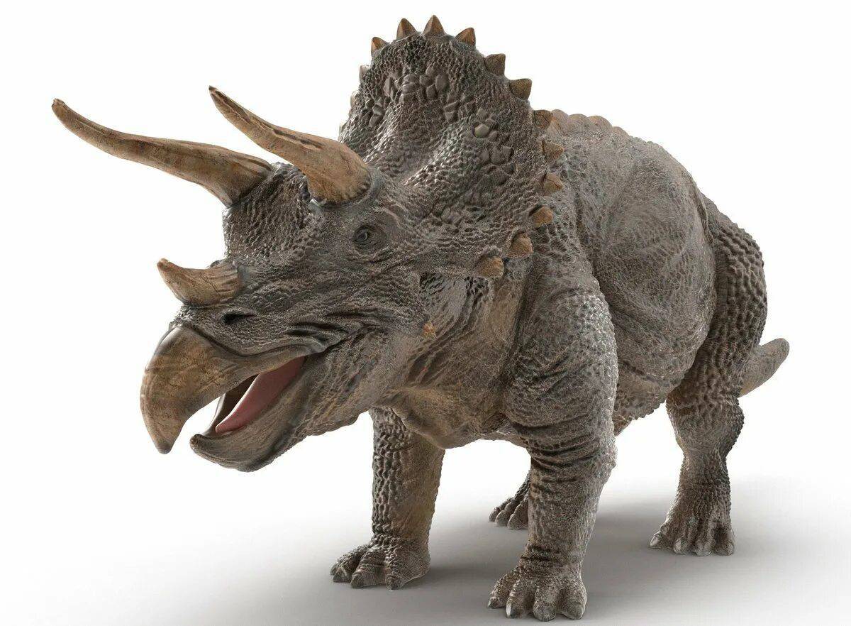 Трицератопс динозавр #34