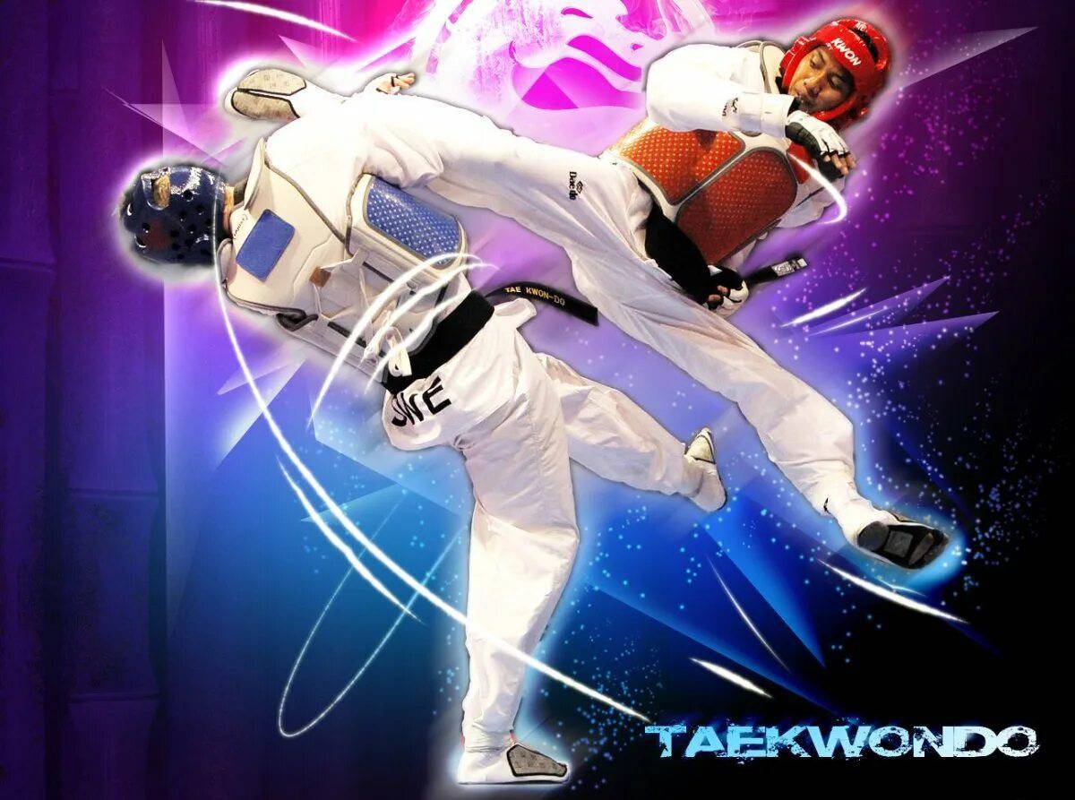 Taekwondo Fight