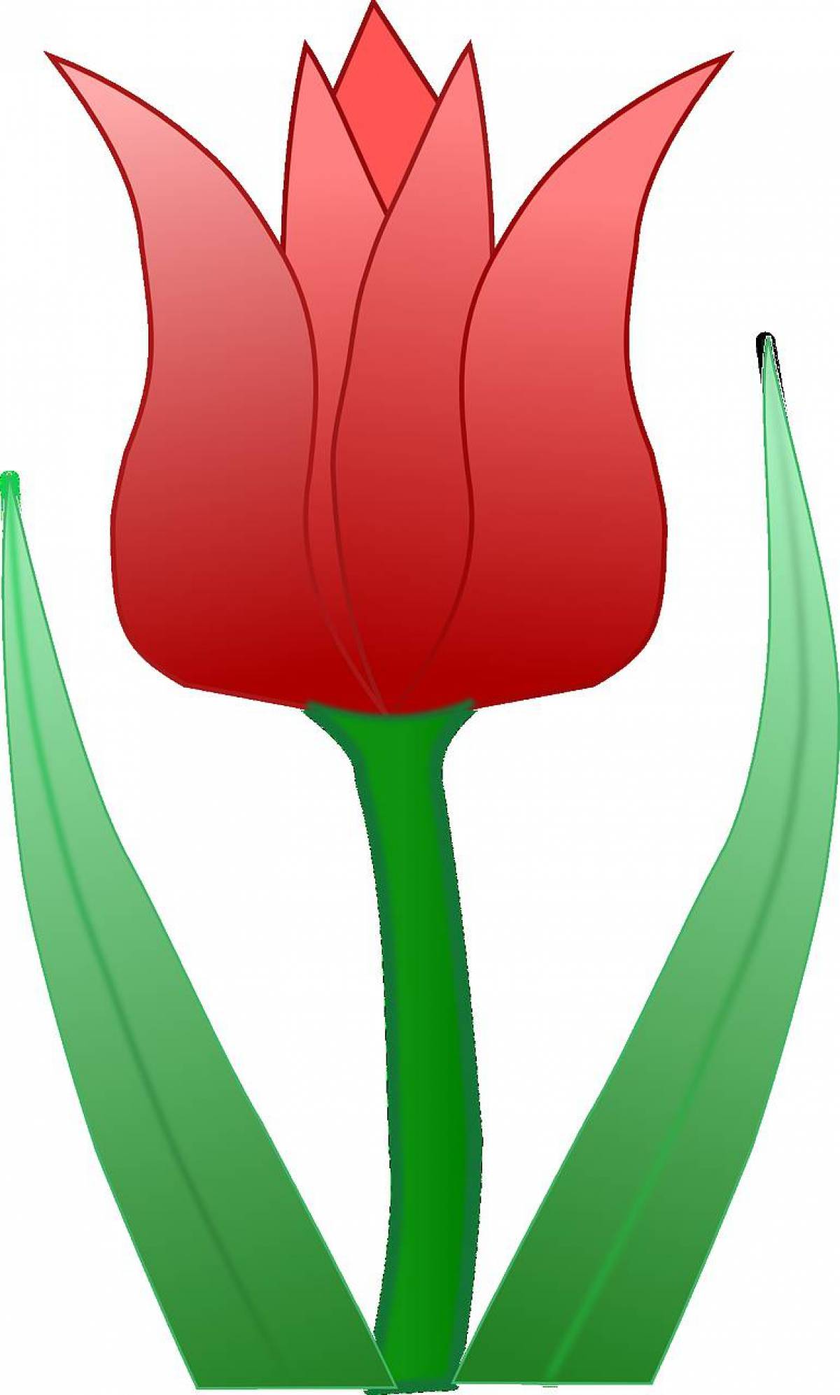Тюльпан для детей #9