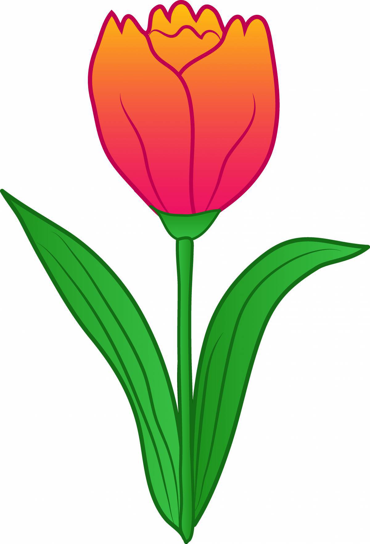 Тюльпан для детей #30
