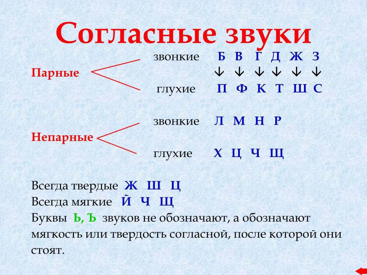 У марины книга подчеркнуть мягкие согласные звуки #33