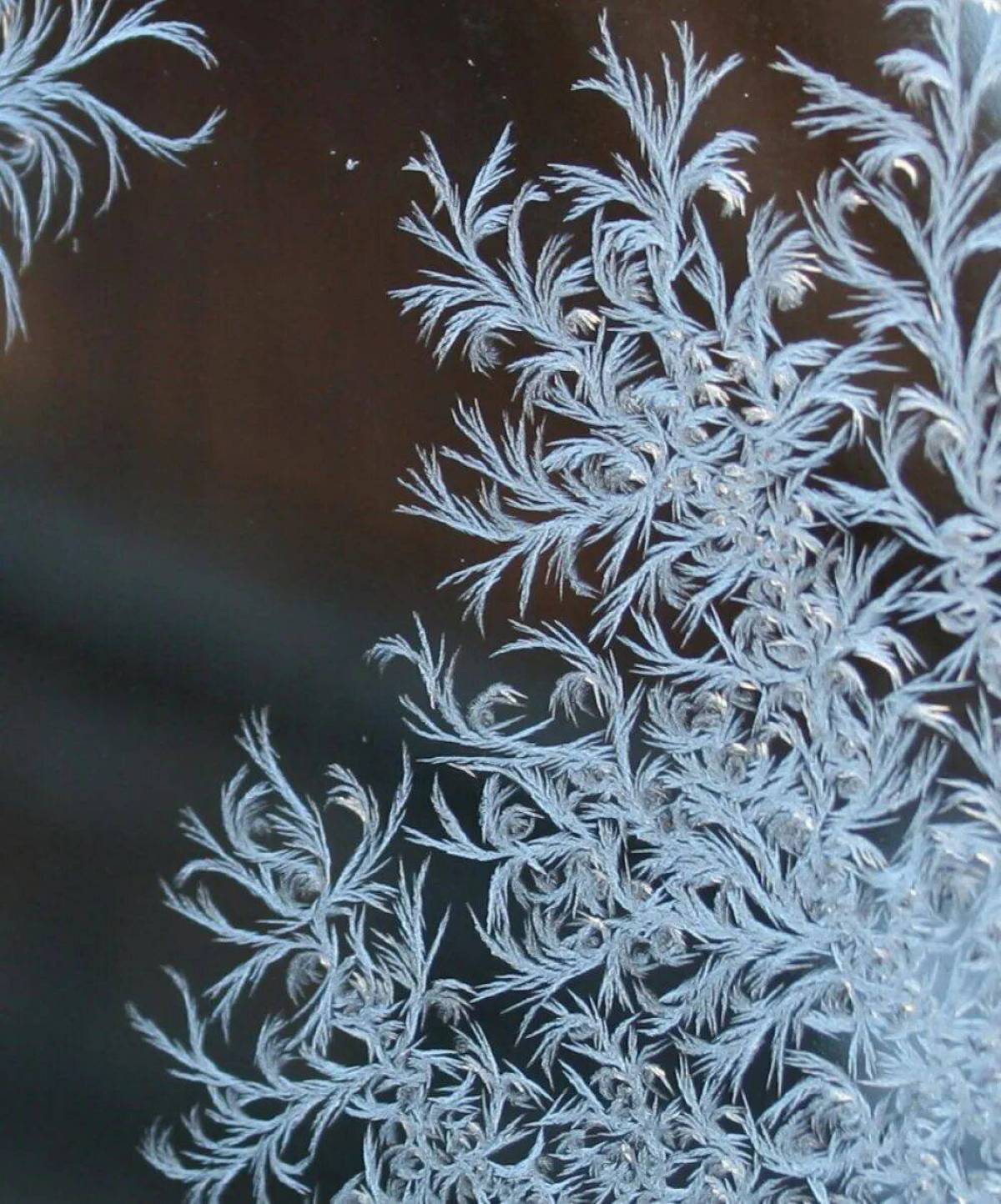 Мороз рисует на стекле узоры. Бальмонт морозные узоры. Дендриты иней. Морозные узоры.