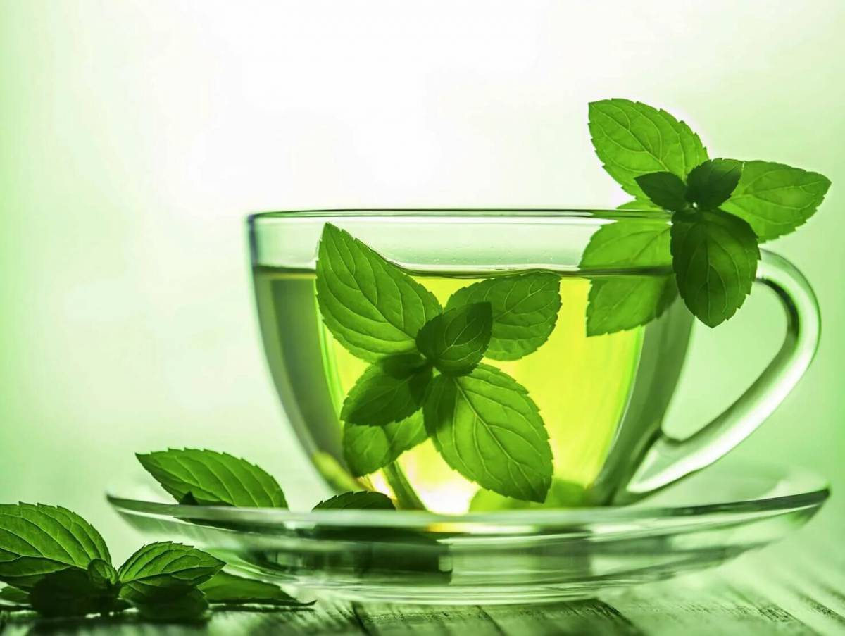 Успокоительные картинки. Мята перечная чай. Мята перечная листья чай. Чай с мятой. Зеленый чай.