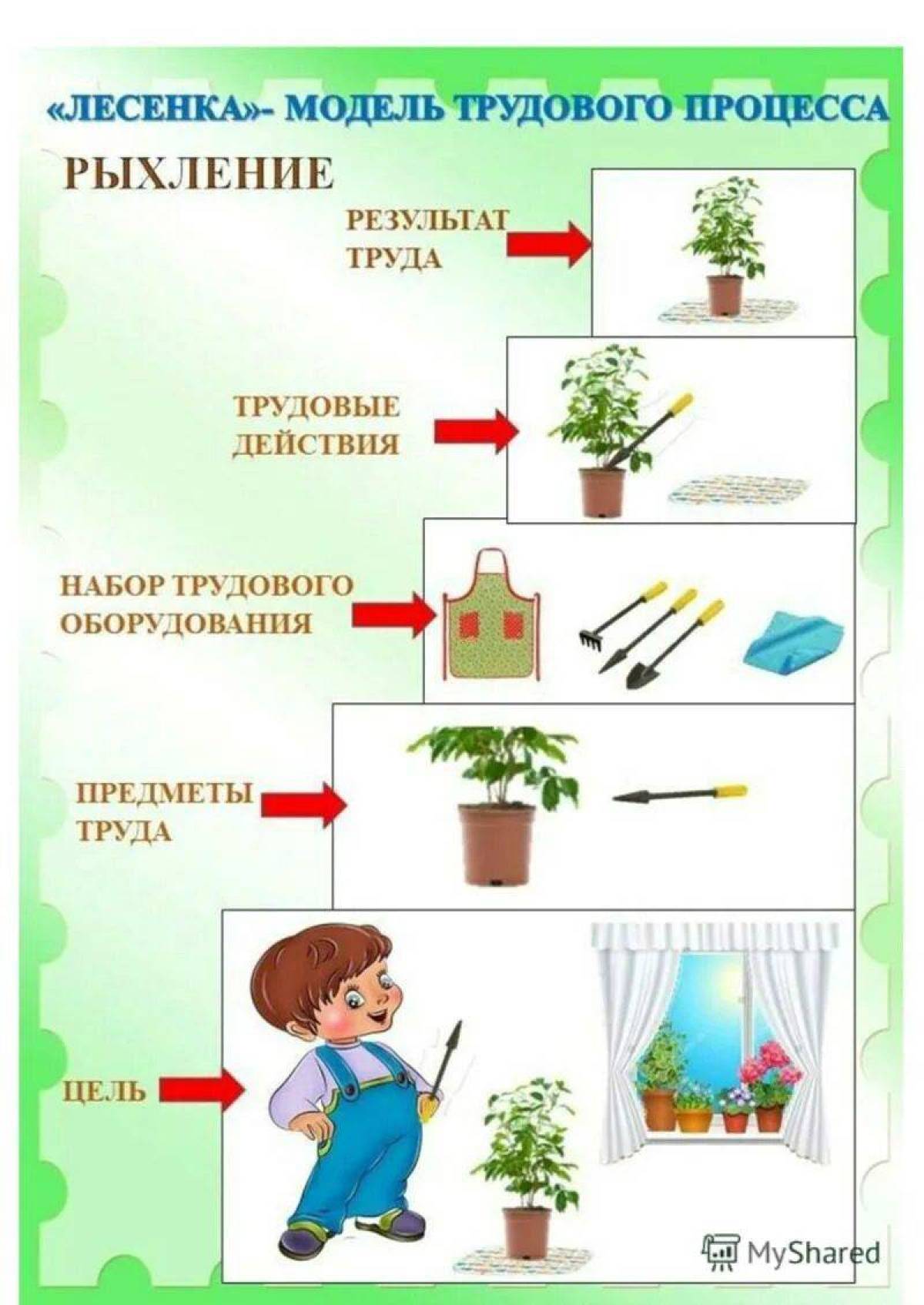 картинки уход за растениями