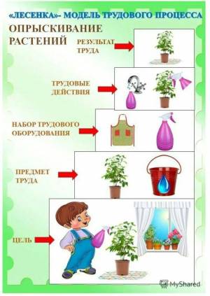 Раскраска уход за комнатными растениями #14 #535774