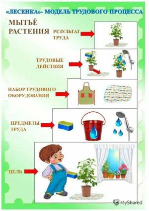 Раскраска уход за комнатными растениями #22 #535782