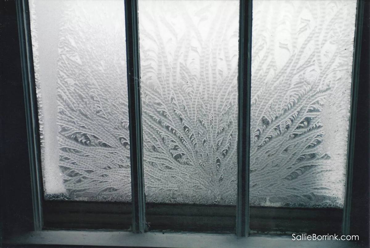 картинки мороза на окнах