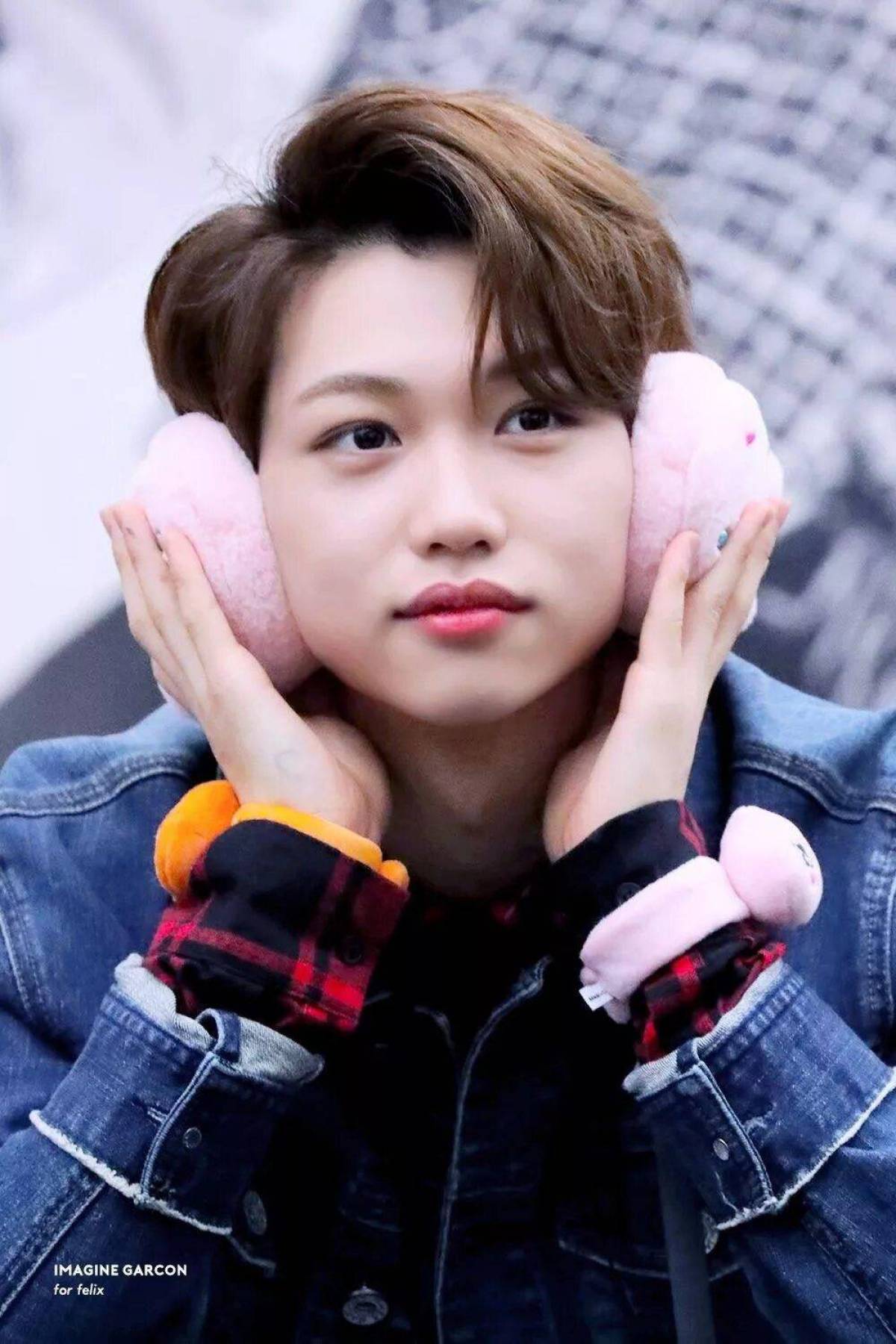 Felix Cute