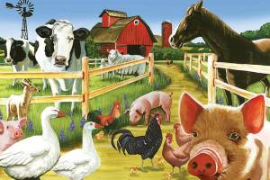 Раскраска ферма с домашними животными #1 #538143