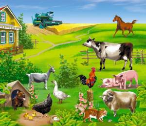 Раскраска ферма с домашними животными #27 #538169