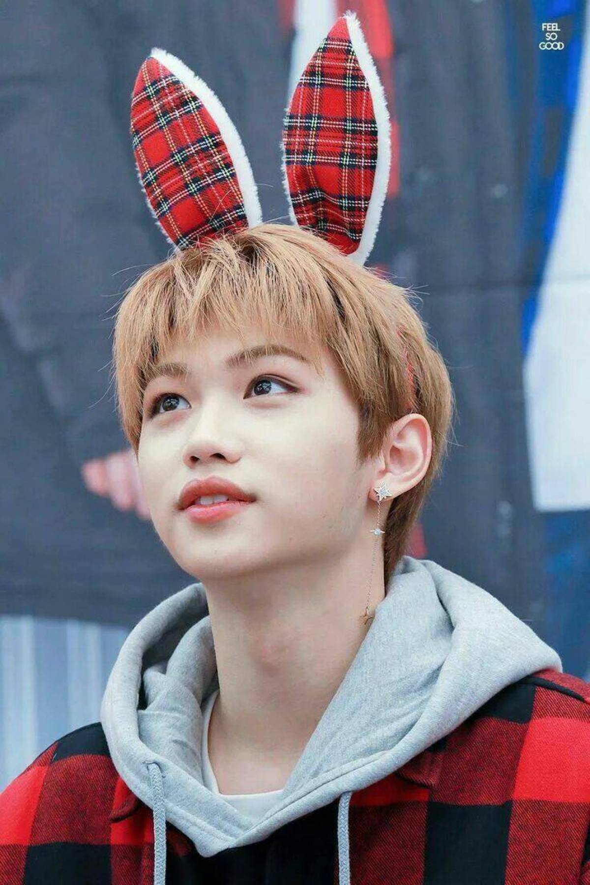 Felix Cute