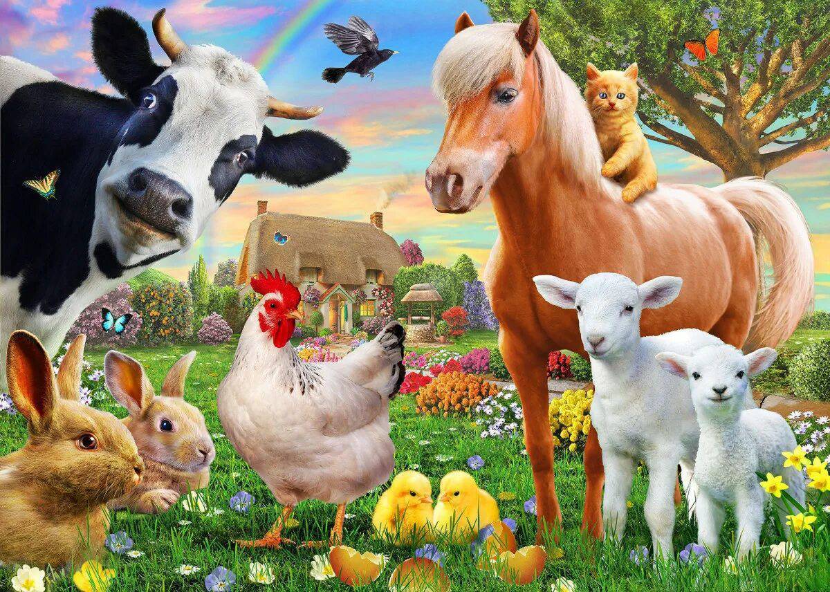 Ферма с домашними животными #26